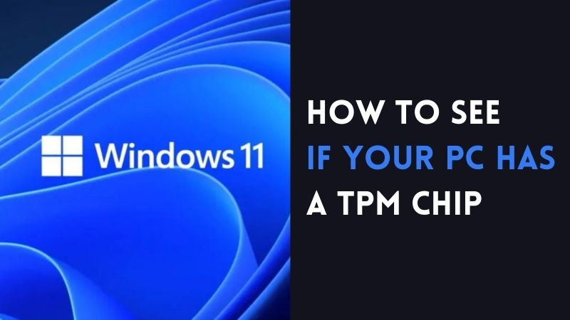 Check TPM Chip windows 11