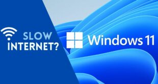 Windows 11 Slow Internet