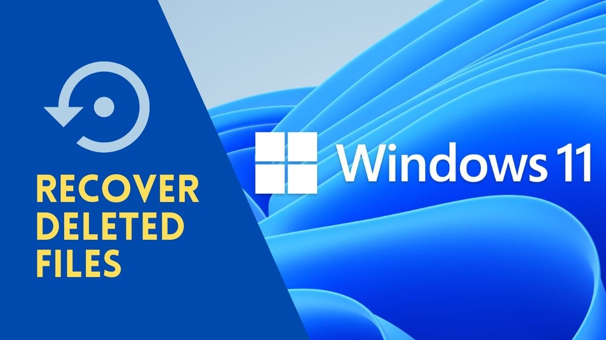 Recover Deleted Files in Windows 11