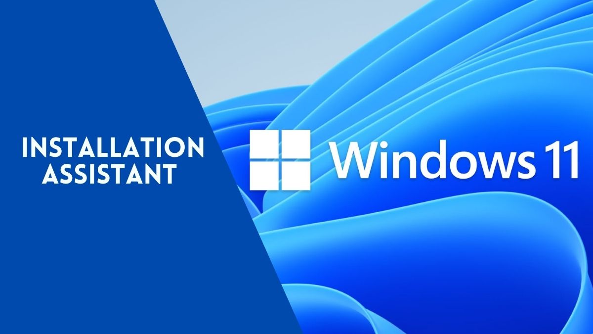 Download Windows 11 Installation Assistant