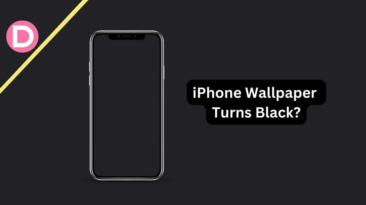 How to Fix iPhone Wallpaper Turns Black Problem in iOS 16?