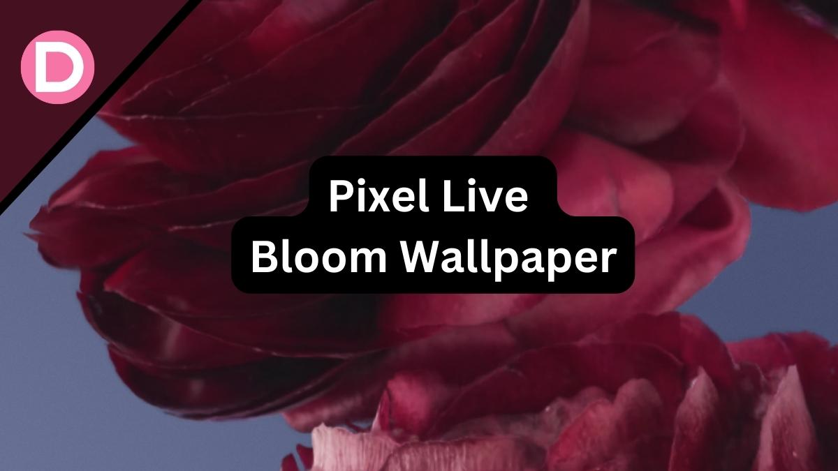 Pixel Live Bloom Wallpaper