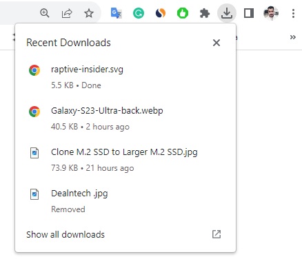 Chrome removes the download