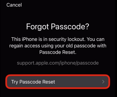 Unlock iPhone iOS 17 Without Password (10)