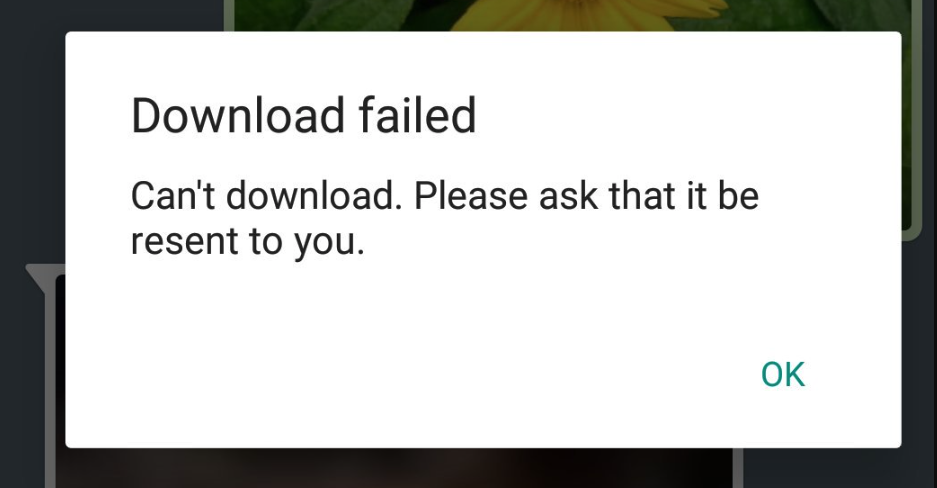 Download Failed