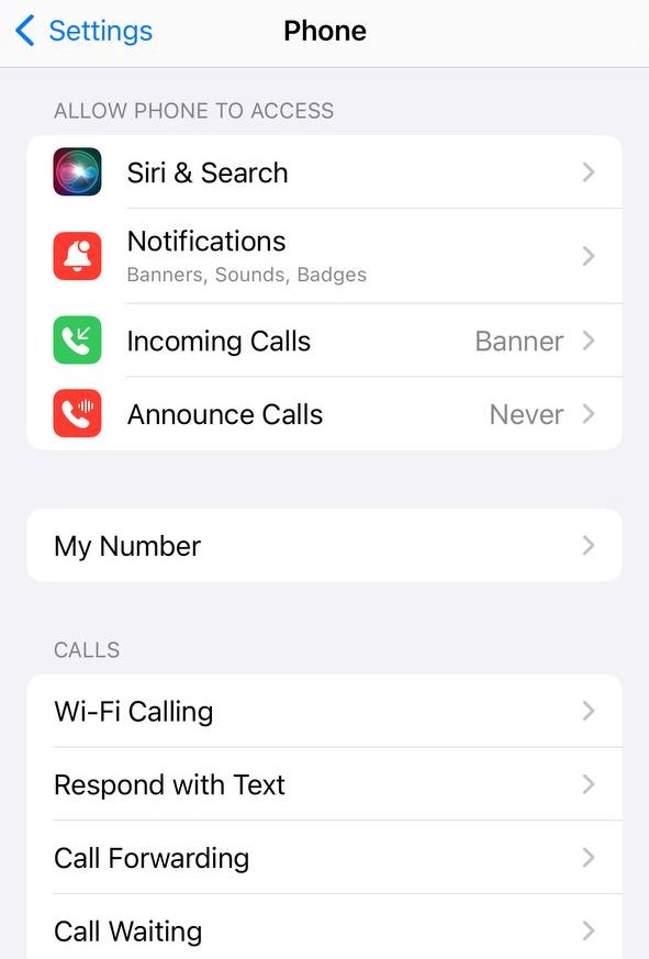 Forward Calls on iPhone via Settings