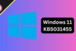 Windows 11 KB5031455